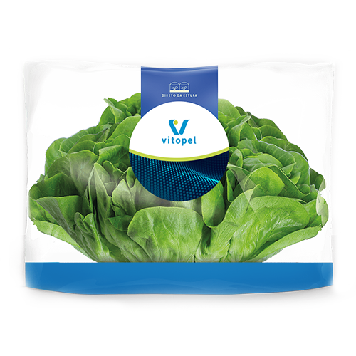 VITOPEL_Mockup_PacksFLV_Verduras